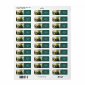 ファンタジーかわいい亀の滝森 ラベル (フルシート)