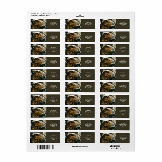 ファンタジーかわいい恐竜のドライビングカー ラベル (フルシート)