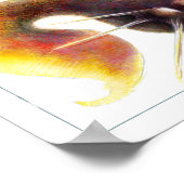 ファンタジーのポスター：シド・フィシウス ポスター (角)