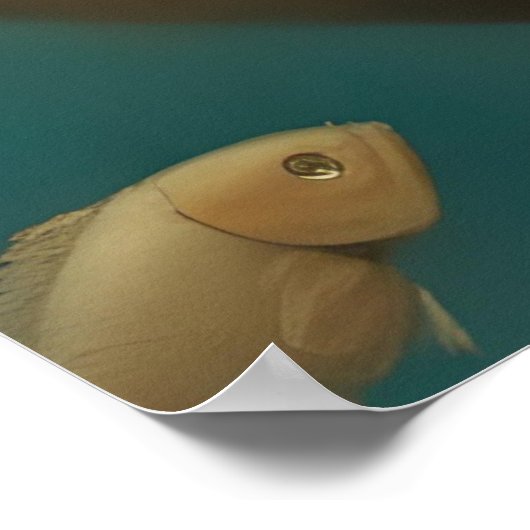 ファンタジーの下で入浴する海 ポスター (角)