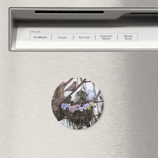 ファンタジーの妖精の子と鳥の巣 マグネット (インサイチュ (食洗機))