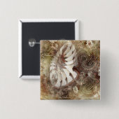 ファンタジーの花 缶バッジ (正面&裏面)