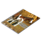 ファンタジーの馬: ロバ及び子馬 ノートブック (左側)