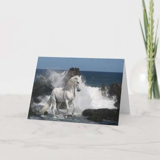 ファンタジーの馬: 南海 カード (正面)