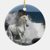 ファンタジーの馬: 南海 セラミックオーナメント (裏面)