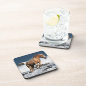 ファンタジーの馬: 夏のしぶき コースター (右側)