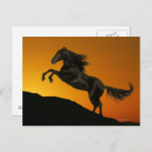 ファンタジーの馬：山の夕日 ポストカード (正面/裏面)