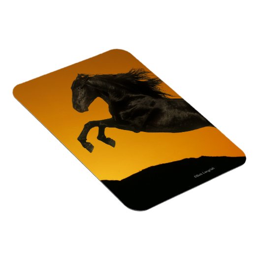 ファンタジーの馬：山の夕日 マグネット (右側)