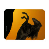 ファンタジーの馬:山の夕日 マグネット (横)