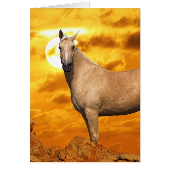 ファンタジーの馬: 山 (正面)