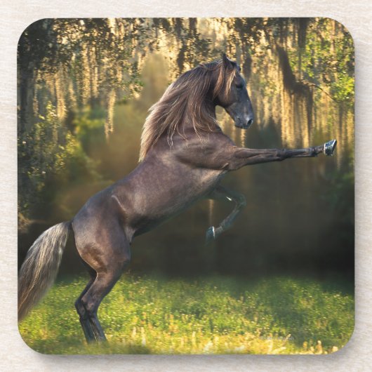 ファンタジーの馬: 戦士の王子 コースター (正面)