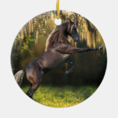 ファンタジーの馬: 戦士の王子 セラミックオーナメント (裏面)