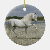 ファンタジーの馬: 湖の主 セラミックオーナメント (裏面)