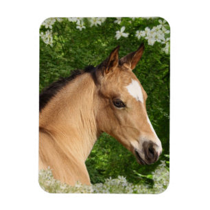 ファンタジーの馬: 花 マグネット