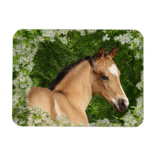 ファンタジーの馬: 花 マグネット