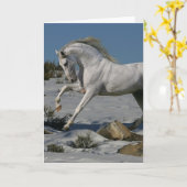 ファンタジーの馬: 雪王 カード (黄色い花)