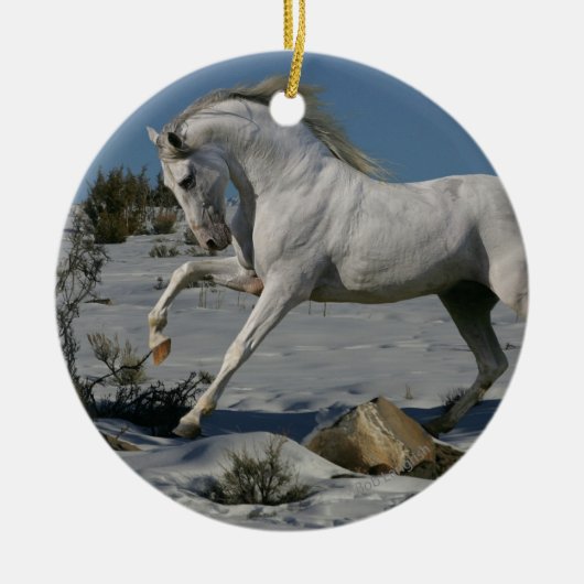ファンタジーの馬: 雪王 セラミックオーナメント (正面)
