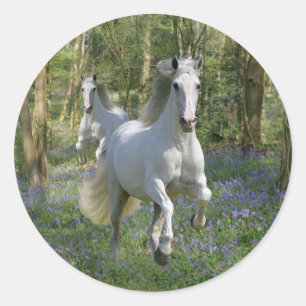 ファンタジーの馬: Bluebell木 ラウンドシール