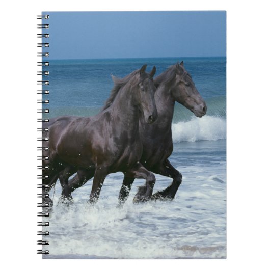 ファンタジーの馬: Friesians及び海 ノートブック (正面)