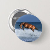 ファンタジーの馬: Selle Francais及び海 缶バッジ (正面&裏面)