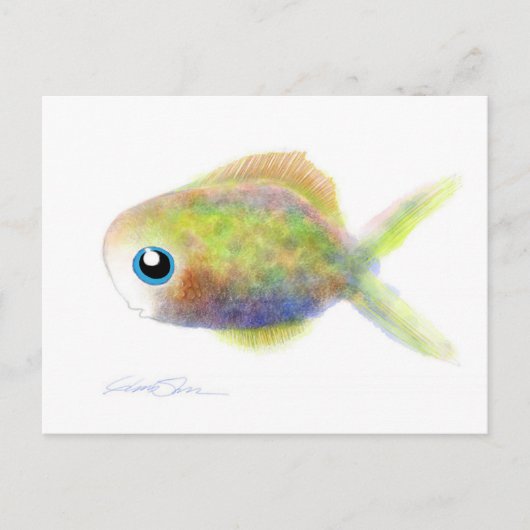 ファンタジーの魚:青い目の少年 ポストカード (正面)
