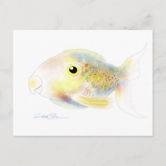 ファンタジーの魚: Pollyの郵便はがき ポストカード (正面)