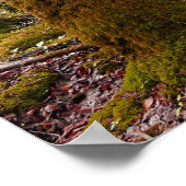 ファンタジーアートプリンセス森ポスター ポスター (角)