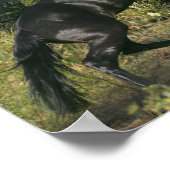 ファンタジーウマ：ブラック魔法 ポスター (角)