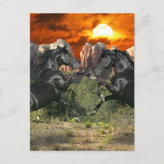 ファンタジーウマ:ブラック魔法 ポストカード (正面)