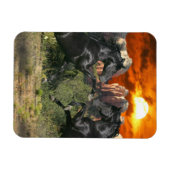 ファンタジーウマ:ブラック魔法 マグネット (横)