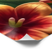 ファンタジーオウム ポスター (コーナー)