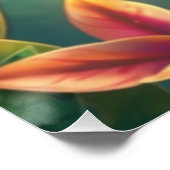 ファンタジーカラフルオウム ポスター (コーナー)