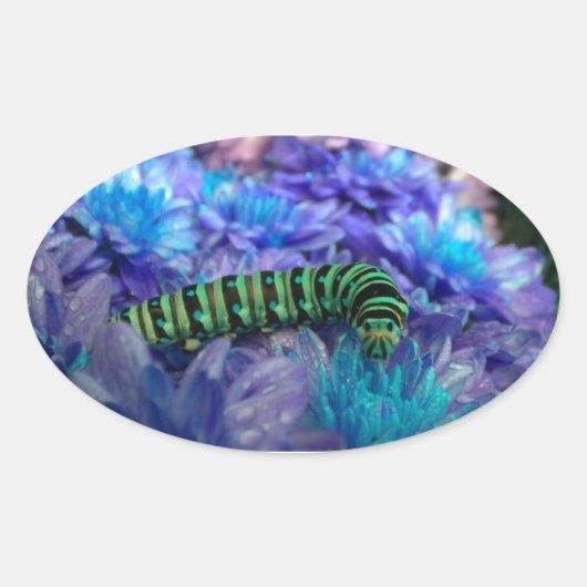 ファンタジーキャタピラーシール 楕円形シール (正面)