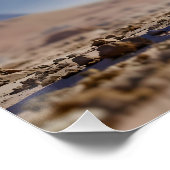 ファンタジーキュートサイボーグ恐竜の砂漠 ポスター (コーナー)