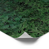 ファンタジースイング ポスター (角)