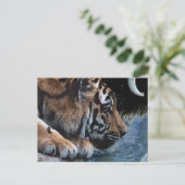 ファンタジータイガー&ムーンポストカード ポストカード (スタンド正面)