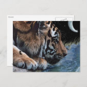 ファンタジータイガー&ムーンポストカード ポストカード (正面/裏面)