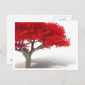 ファンタジーツリー葉書 | Tシャツ、マグズデジタルアート ポストカード (正面/裏面)