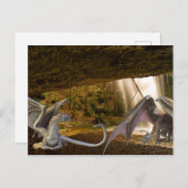 ファンタジードラゴンファミリーケーブ ポストカード (正面/裏面)