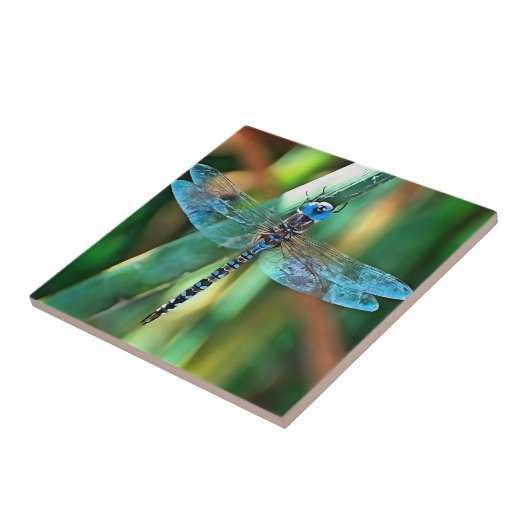 ファンタジードラゴンフライターコイズとブラック タイル (側面)