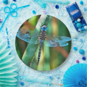 ファンタジードラゴンフライターコイズとブラック ペーパープレート (パーティー)