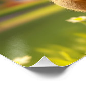 ファンタジーバスケットボール場 ポスター (コーナー)