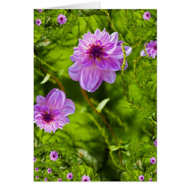 ファンタジーピンクダリア (正面)