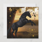 ファンタジーフェアリー&ブラックユニコーン (正面)