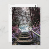 ファンタジーフォレストの手順 ポストカード (正面/裏面)