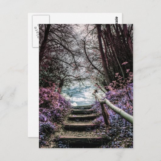 ファンタジーフォレストの手順 ポストカード (正面/裏面)