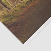 ファンタジーフォレストゴシック20x30デコページティッシュペーパー 薄葉紙 (詳細)