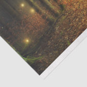 ファンタジーフォレストライト19デコページティッシュペーパー 薄葉紙 (詳細)