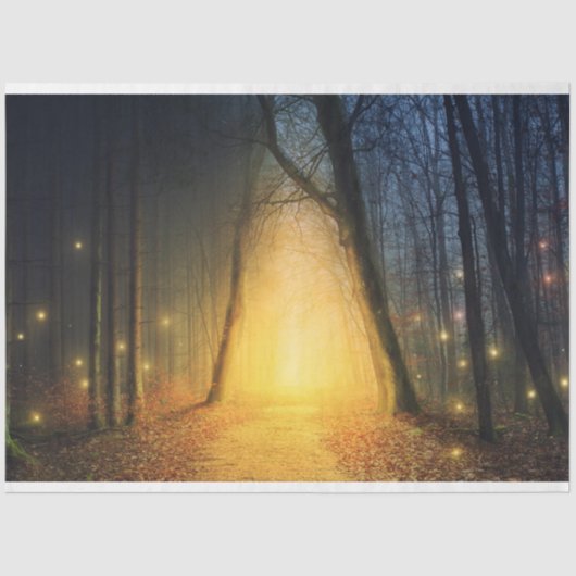 ファンタジーフォレストライト19デコページティッシュペーパー 薄葉紙 (正面)