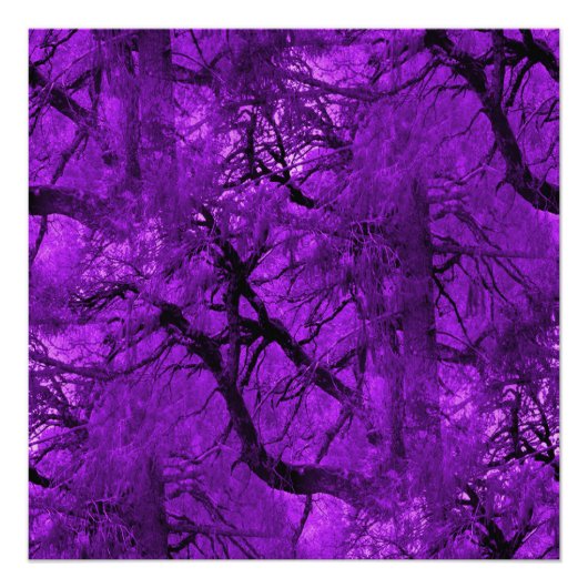 ファンタジーフォレスト… ポスター (正面)